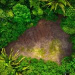 listing image thumbnail with ID 63935