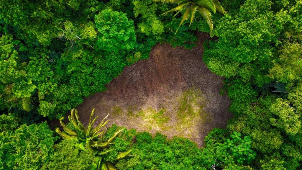 listing image with ID 63935