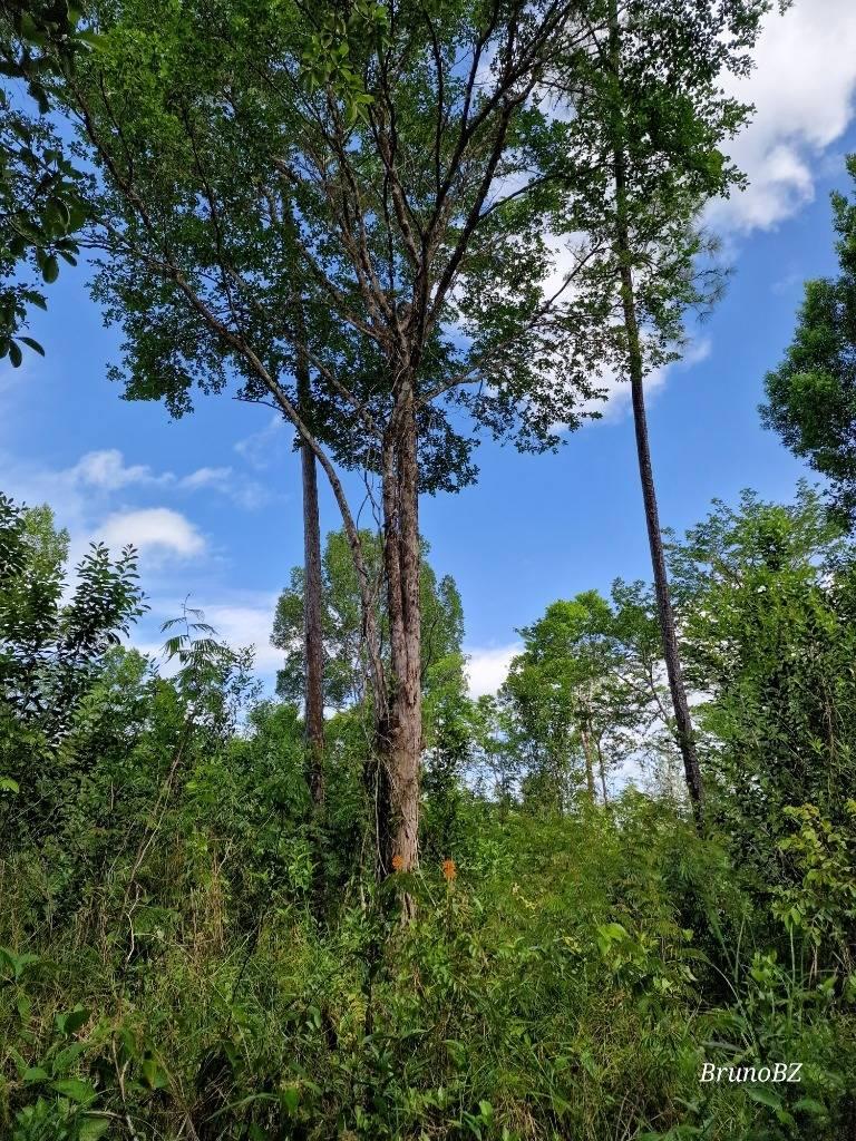 listing image with ID 63947