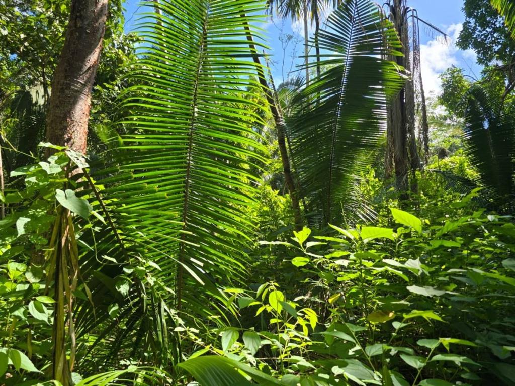 listing image with ID 66677