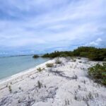 listing image thumbnail with ID 66133