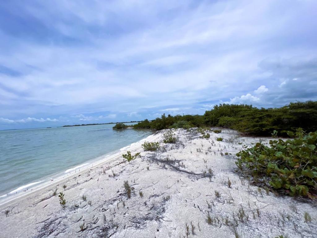 listing image with ID 66133