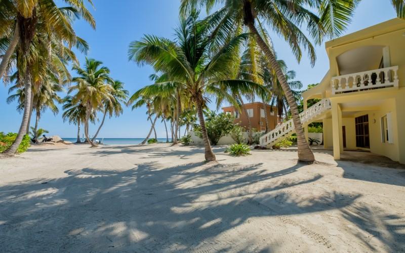 listing image with ID 68920