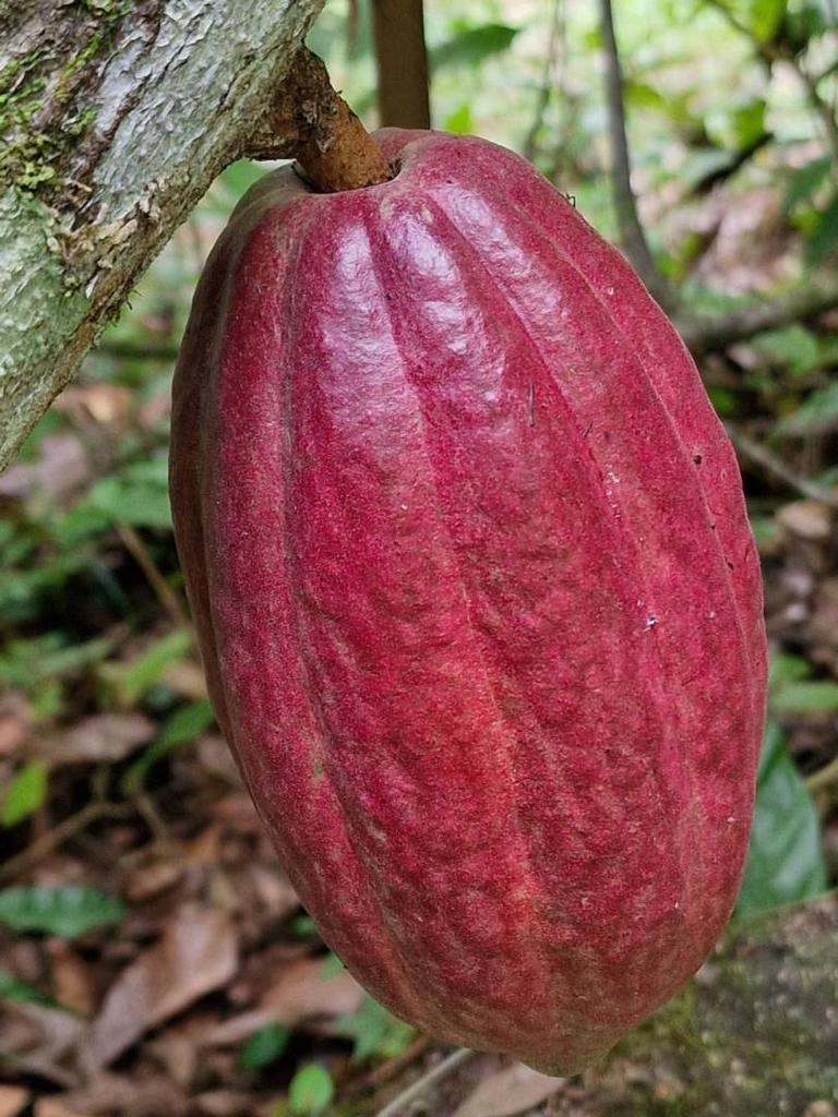 listing image with ID 66264