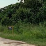 listing image thumbnail with ID 65036