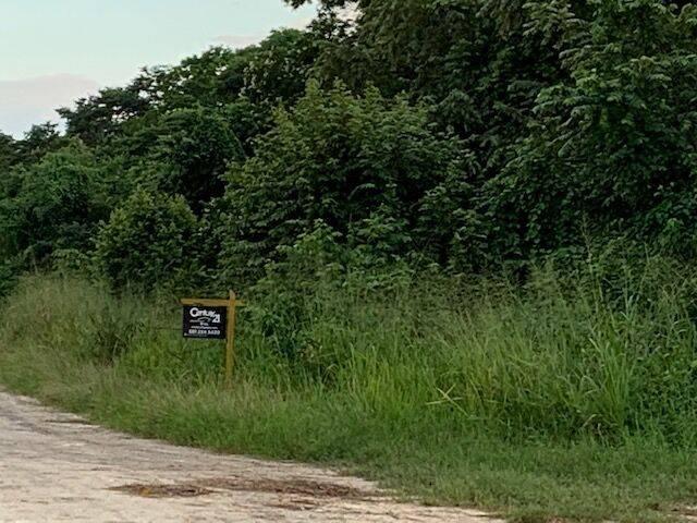 listing image with ID 65036