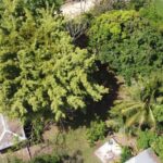 listing image thumbnail with ID 64360