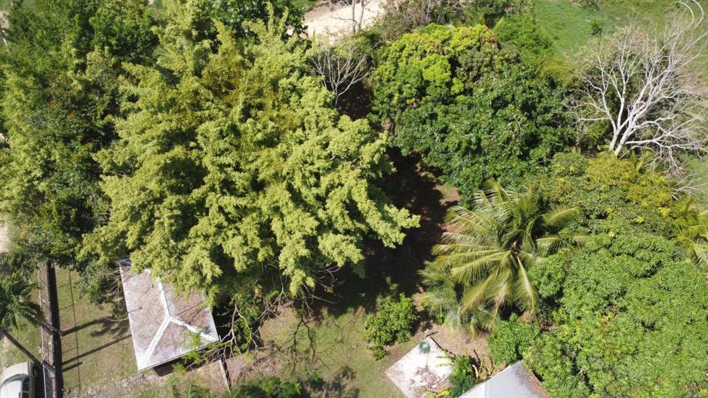 listing image with ID 64360