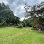 listing image thumbnail with ID 66695