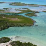 listing image thumbnail with ID 65993