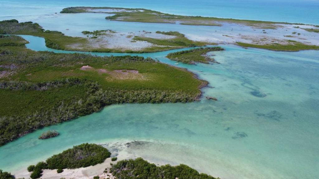 listing image with ID 65993