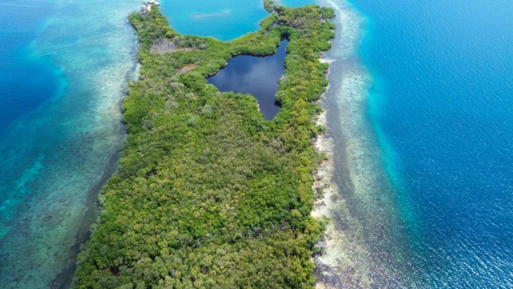 listing image with ID 66863