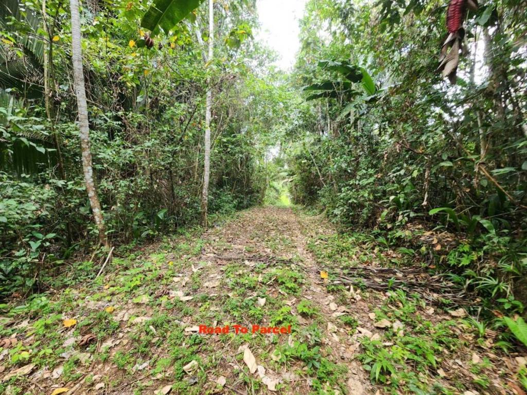 listing image with ID 69167