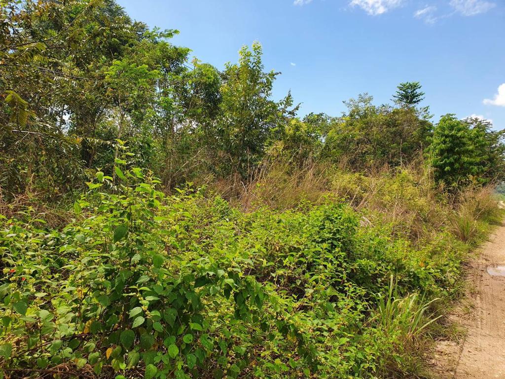 listing image with ID 64421