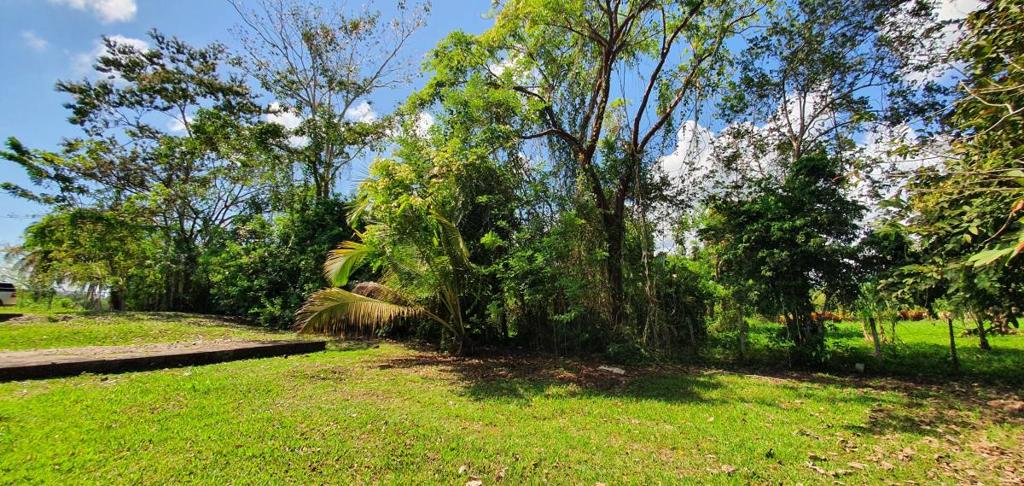 listing image with ID 63830