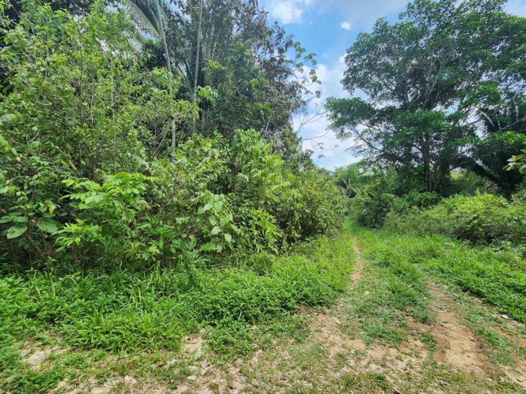 listing image with ID 64862