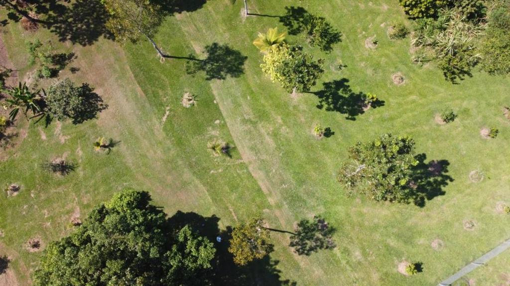 listing image with ID 64940