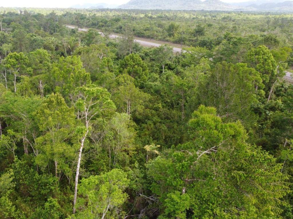 listing image with ID 63940