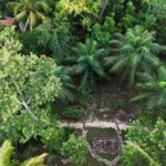 listing image thumbnail with ID 65892