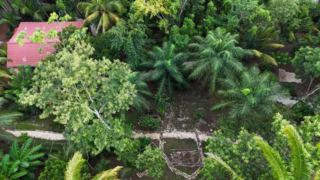 listing image with ID 65892