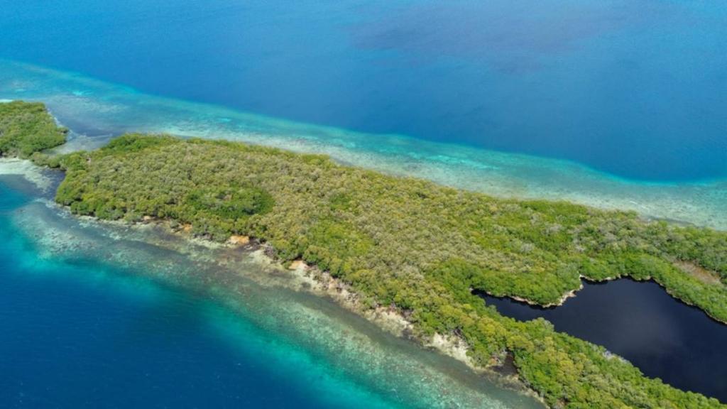 listing image with ID 66857