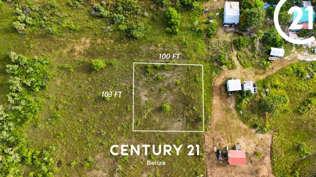 listing image with ID 65303