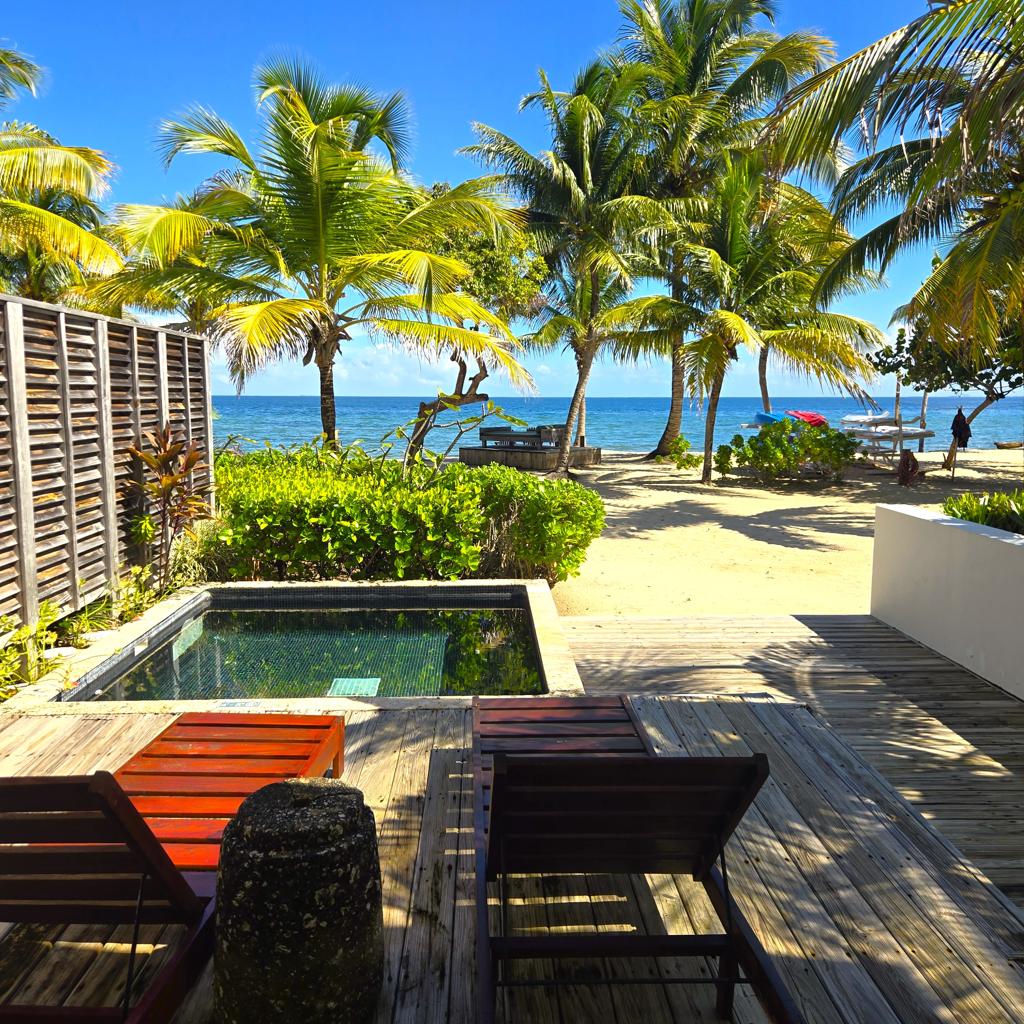 listing image with ID 68896