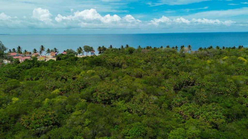 listing image with ID 65333