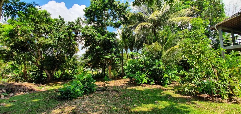 listing image with ID 64345