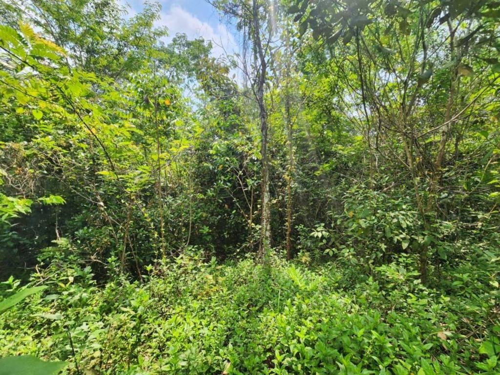 listing image with ID 64897