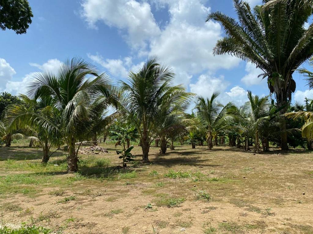 listing image with ID 67671