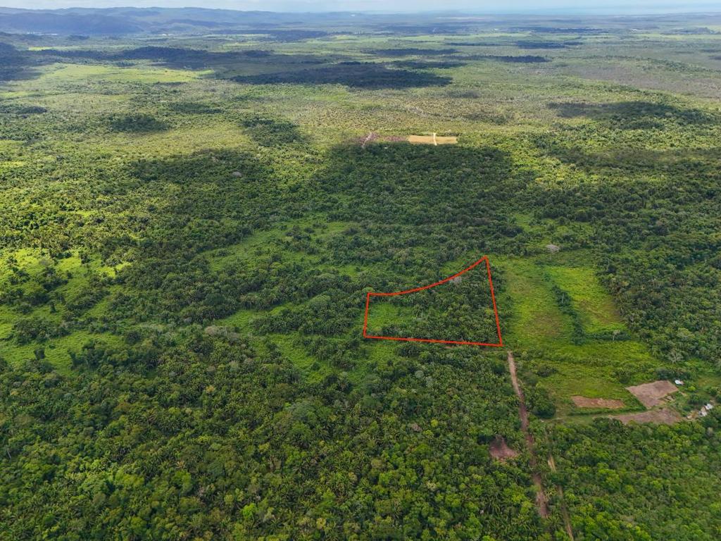 listing image with ID 63841