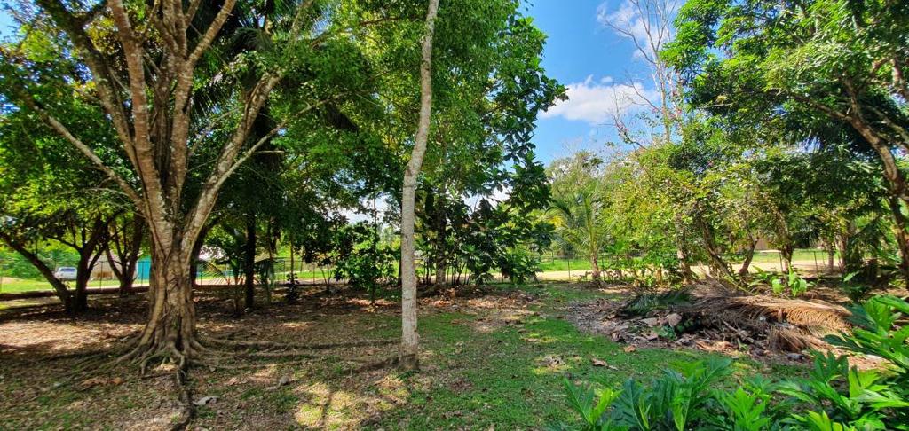 listing image with ID 64342