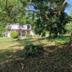 listing image thumbnail with ID 63904