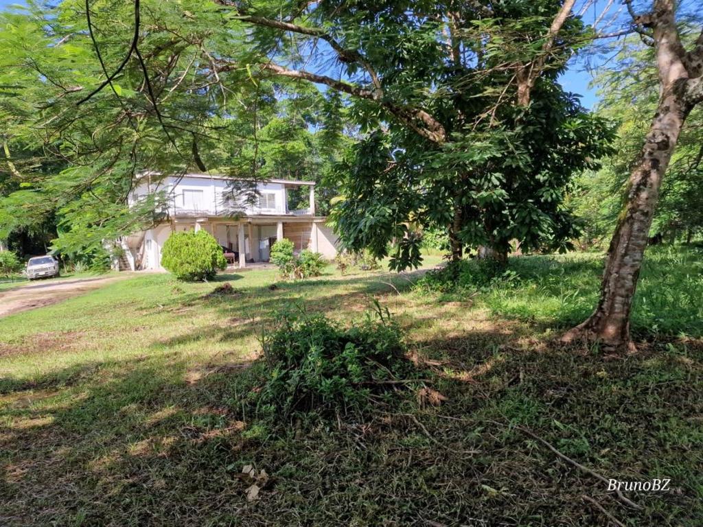 listing image with ID 63904