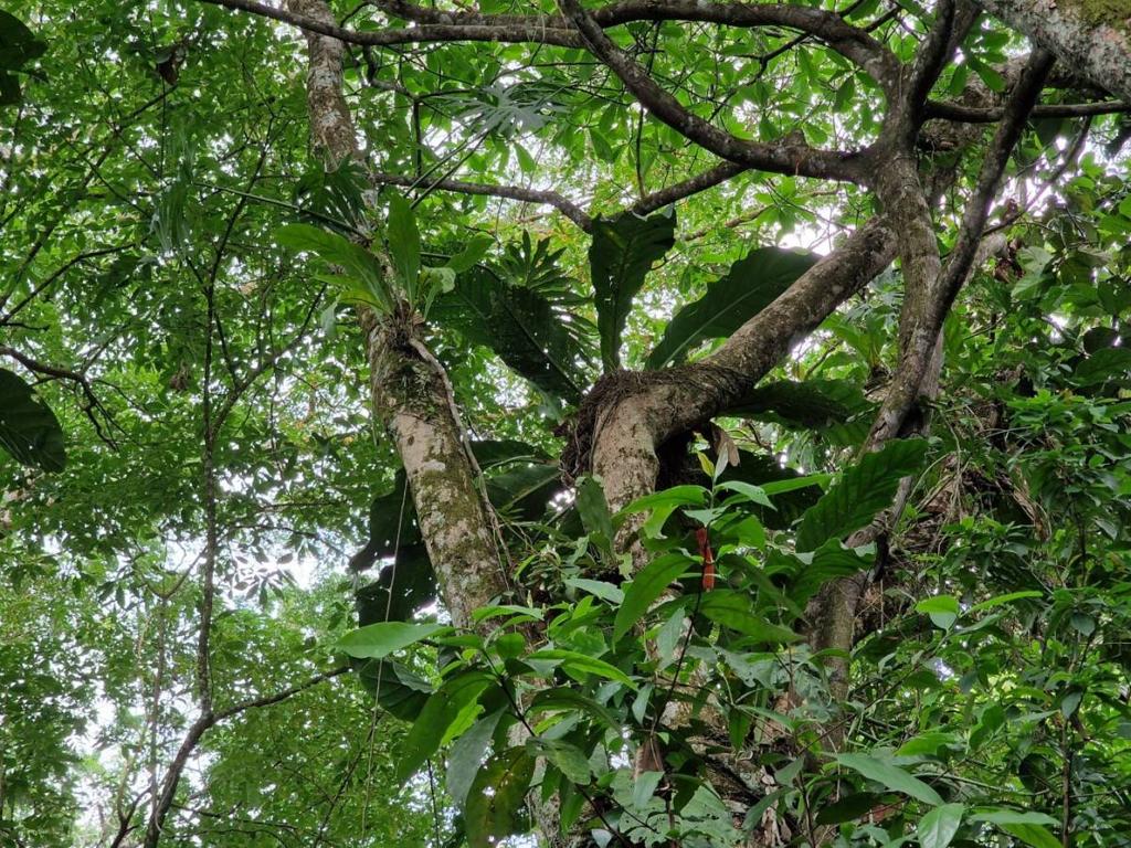 listing image with ID 63968