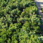 listing image thumbnail with ID 67802