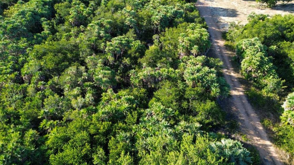 listing image with ID 67802