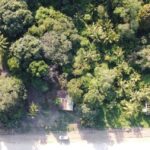 listing image thumbnail with ID 66106