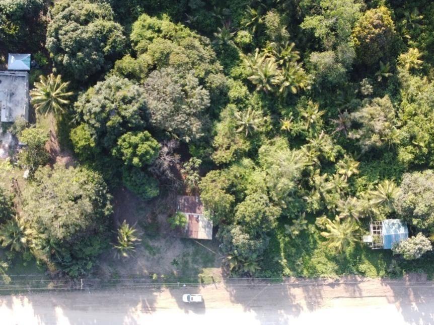 listing image with ID 66106