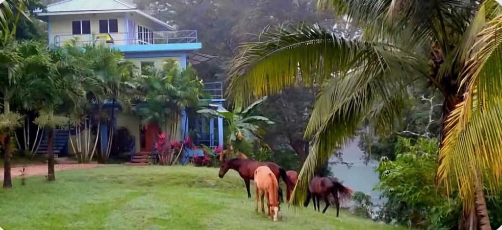 listing image with ID 65551