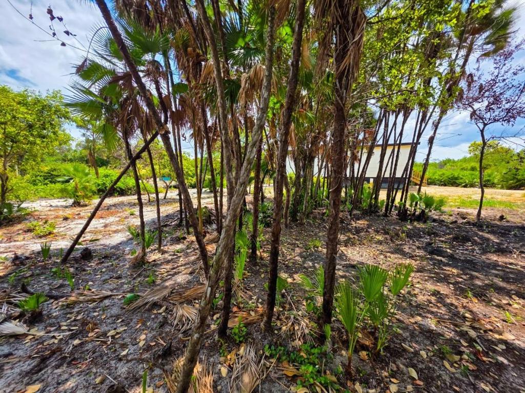 listing image with ID 65813