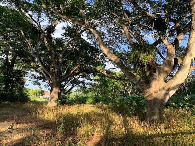 listing image with ID 65021