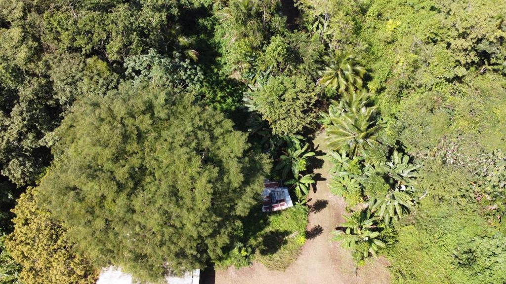 listing image with ID 64240