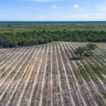 listing image thumbnail with ID 65295