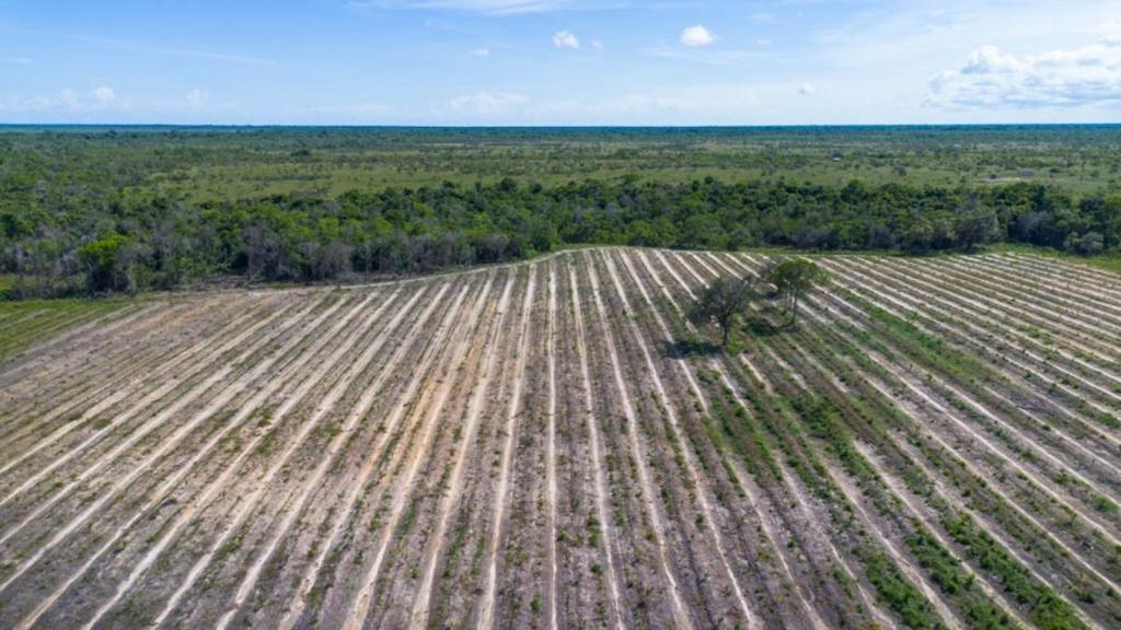 listing image with ID 65295