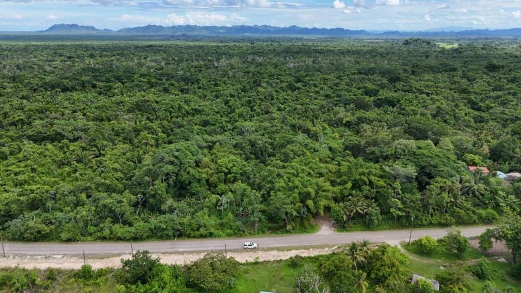 listing image with ID 66648