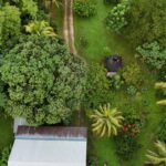 listing image thumbnail with ID 65263