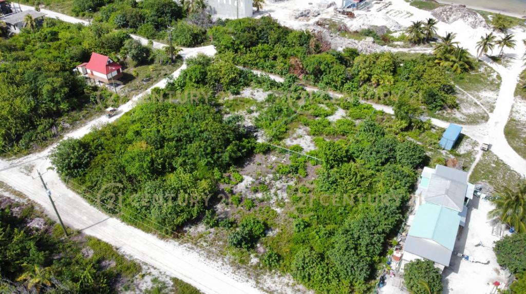 listing image with ID 66523