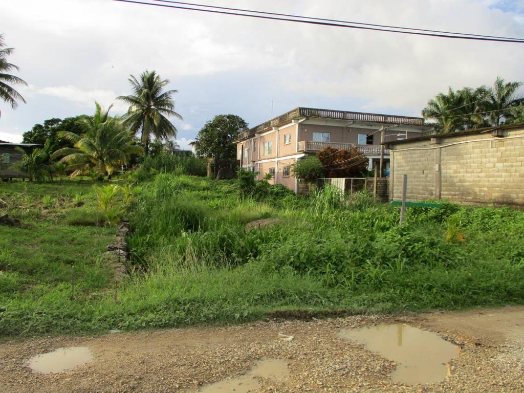 listing image with ID 64163